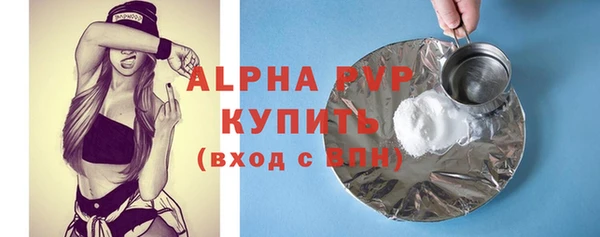 Альфа ПВП Верея