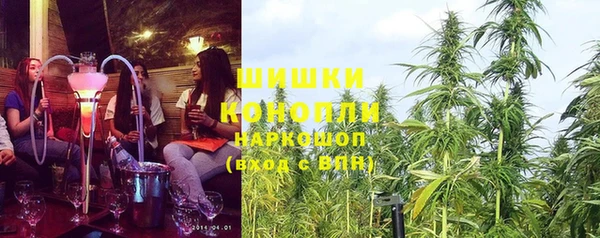 прущие грибы Верхнеуральск