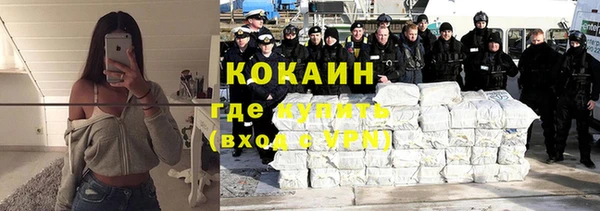 Альфа ПВП Верея