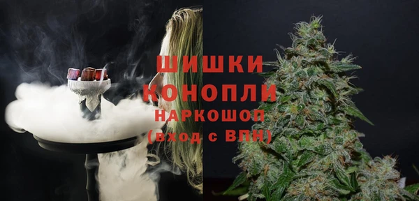 Альфа ПВП Верея